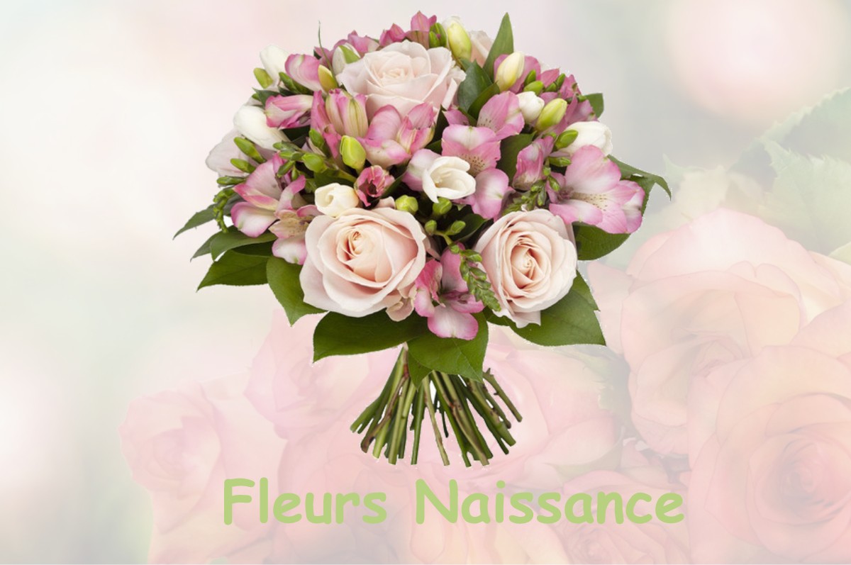 fleurs naissance VILLEFRANCHE-DE-PANAT